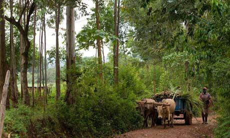 Farmer-in-Kenya