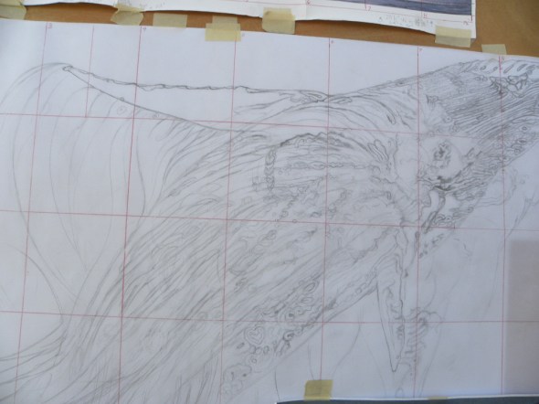 Whale Detail