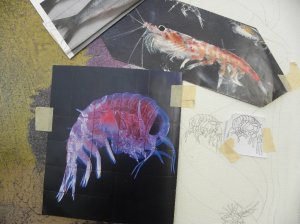 Border Detail - Whale Painting