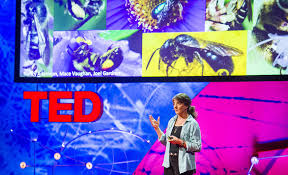 Marla Spivak - Why Bees are Disappearing