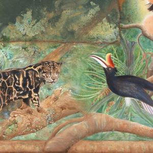 cloud leopard detail