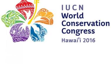 wcc_2016_full_logo_square - large