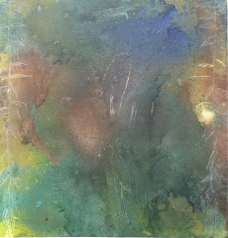 KOA BACKGROUND-cropped