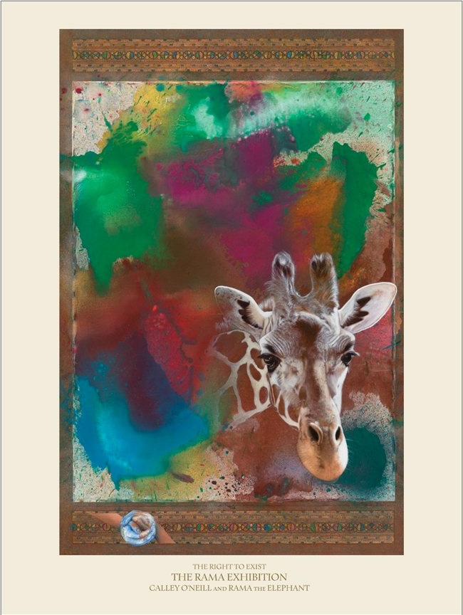 Poster - The-Right-to-Exist